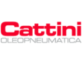 Our Newest Agency Cattini